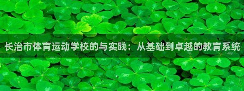 长治市体育运动学校的与实践：从基础到卓越的教育系统