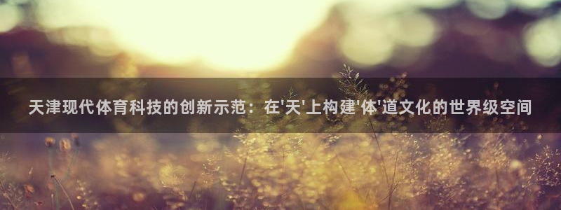 天津现代体育科技的创新示范：在\'天\'上构建\'体\'道文化的世界级空间