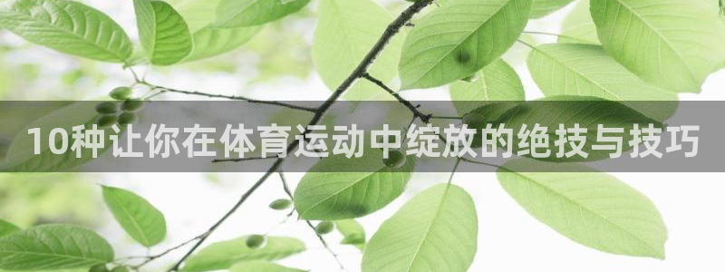 10种让你在体育运动中绽放的绝技与技巧