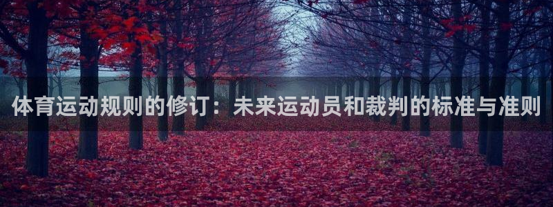 体育运动规则的修订：未来运动员和裁判的标准与准则