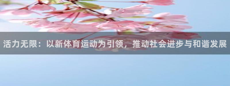 活力无限：以新体育运动为引领，推动社会进步与和谐发展
